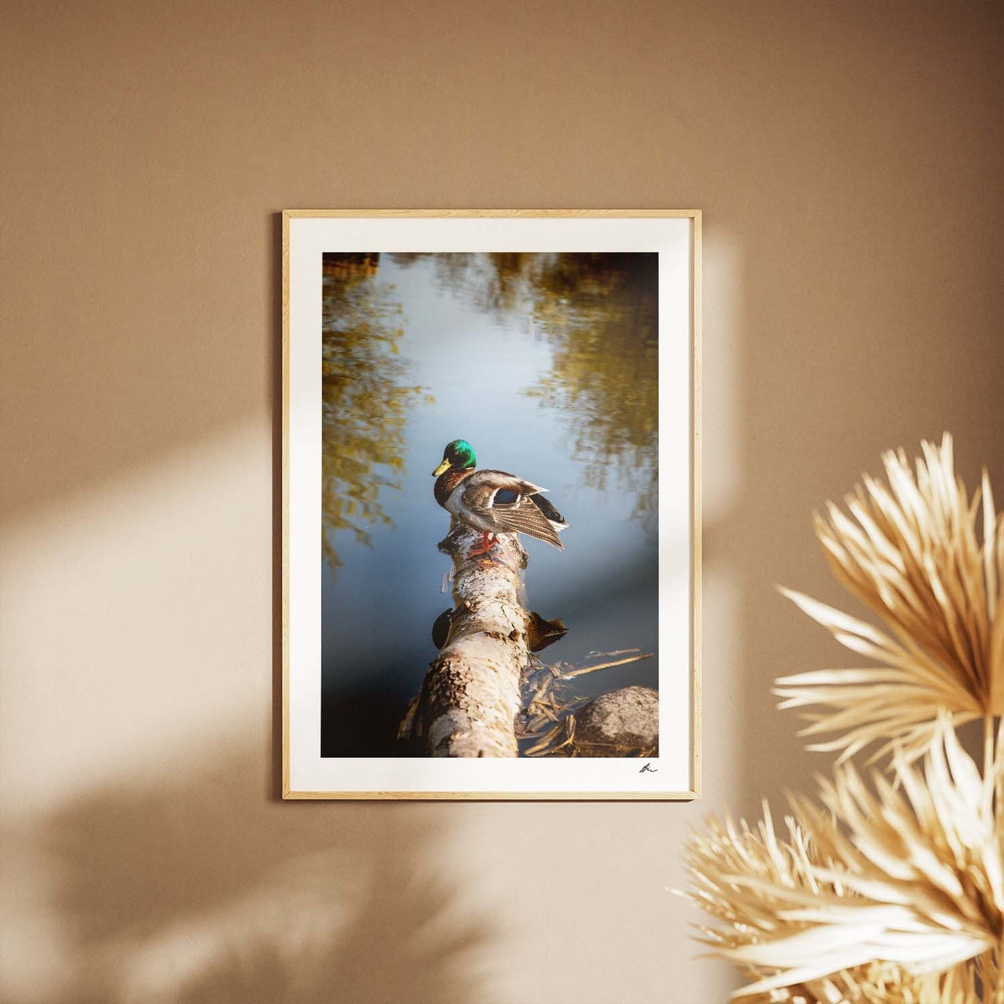 And i søen ved Sankt Jørgensbjerg