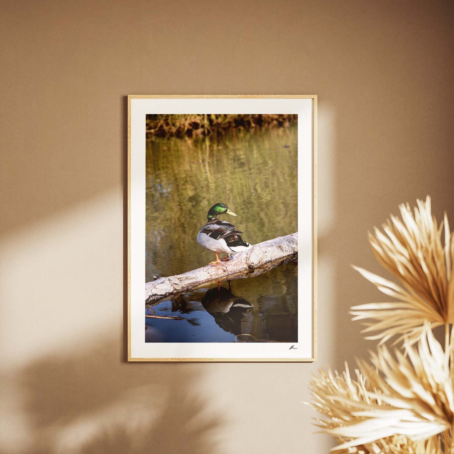 And i søen ved Sankt Jørgensbjerg II