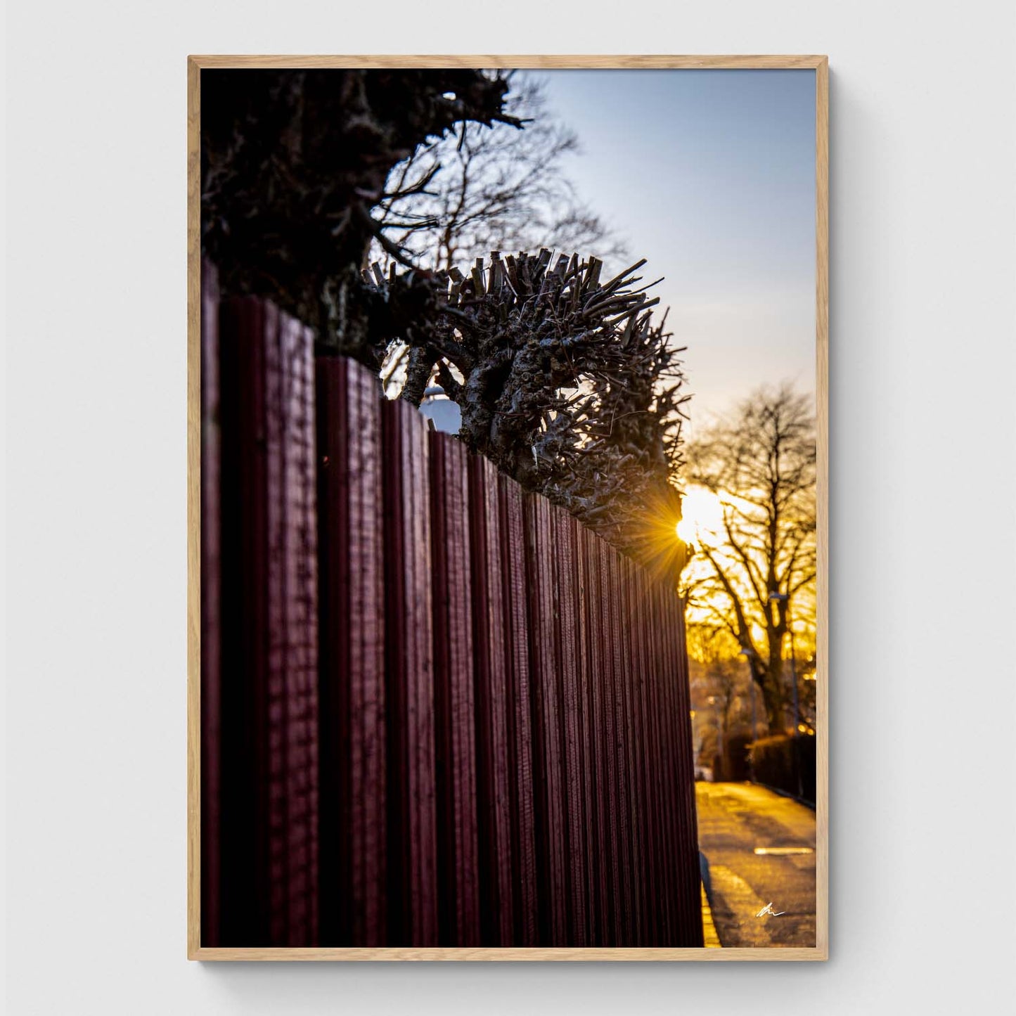 Solnedgang i Lille Højbrøndsstræde