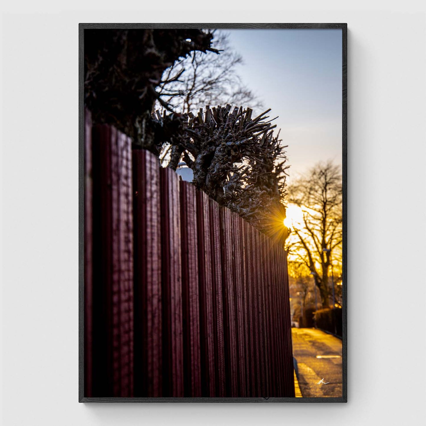Solnedgang i Lille Højbrøndsstræde