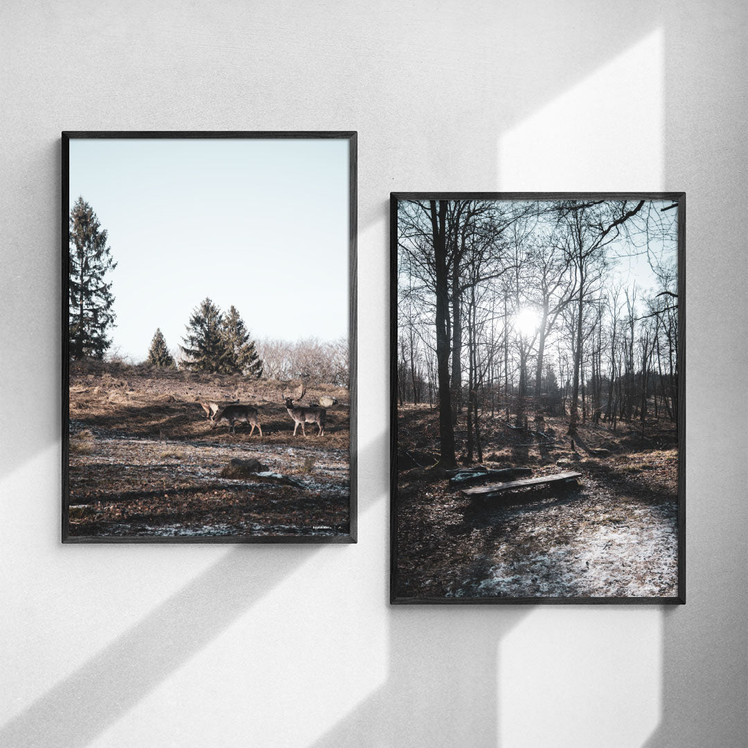 Plakatsæt: Vinterro