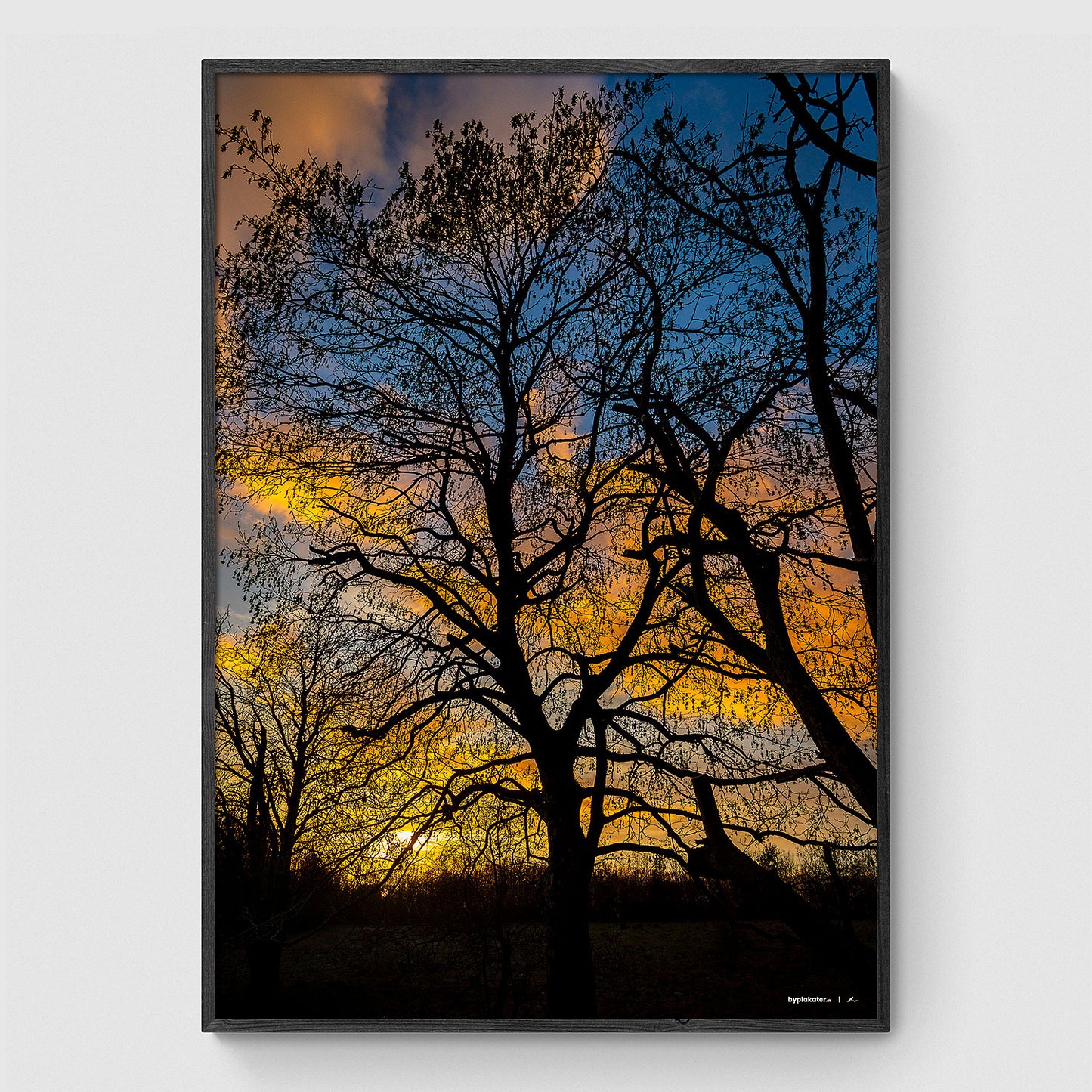 Solnedgang i Himmelev Skov