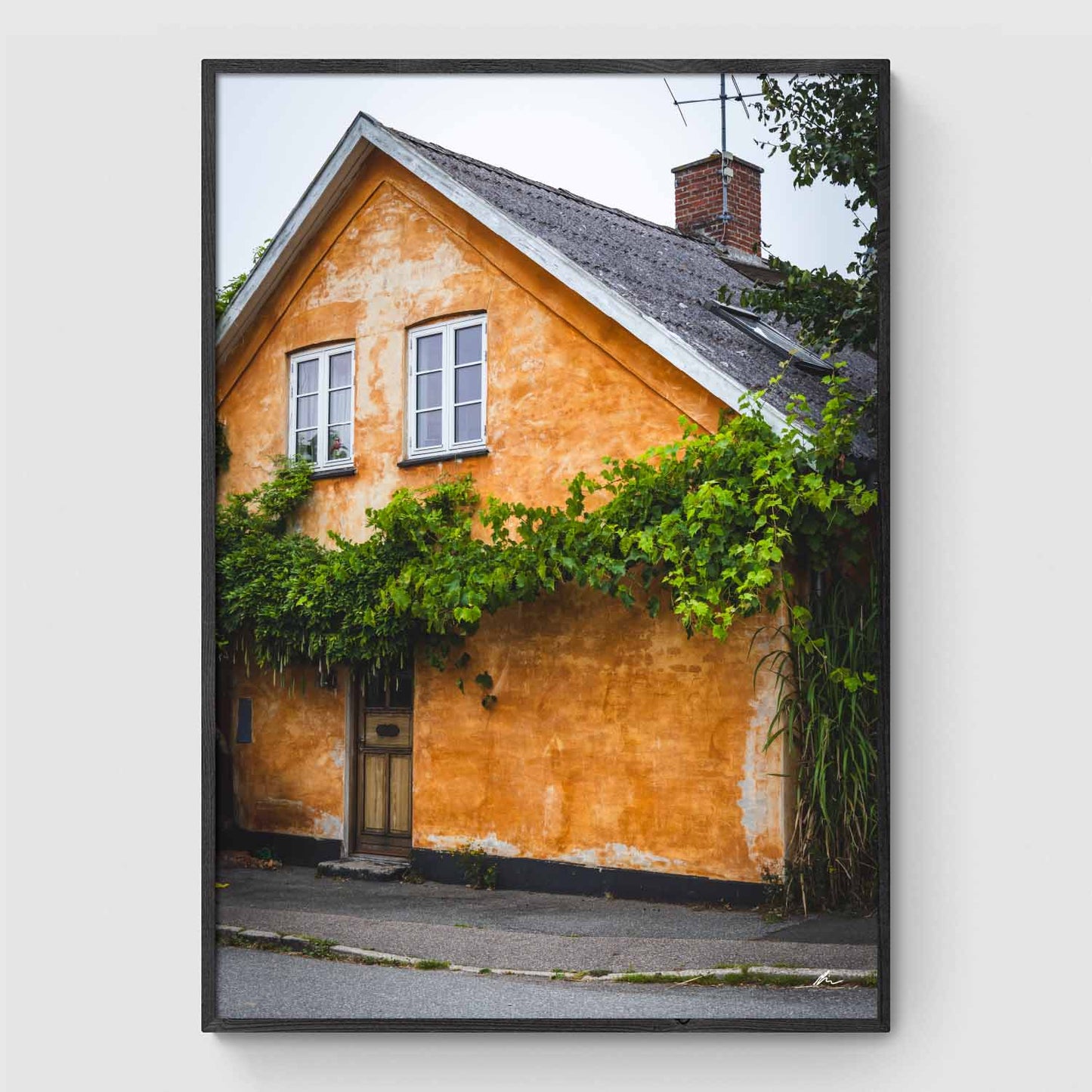 Smuk husfacade II