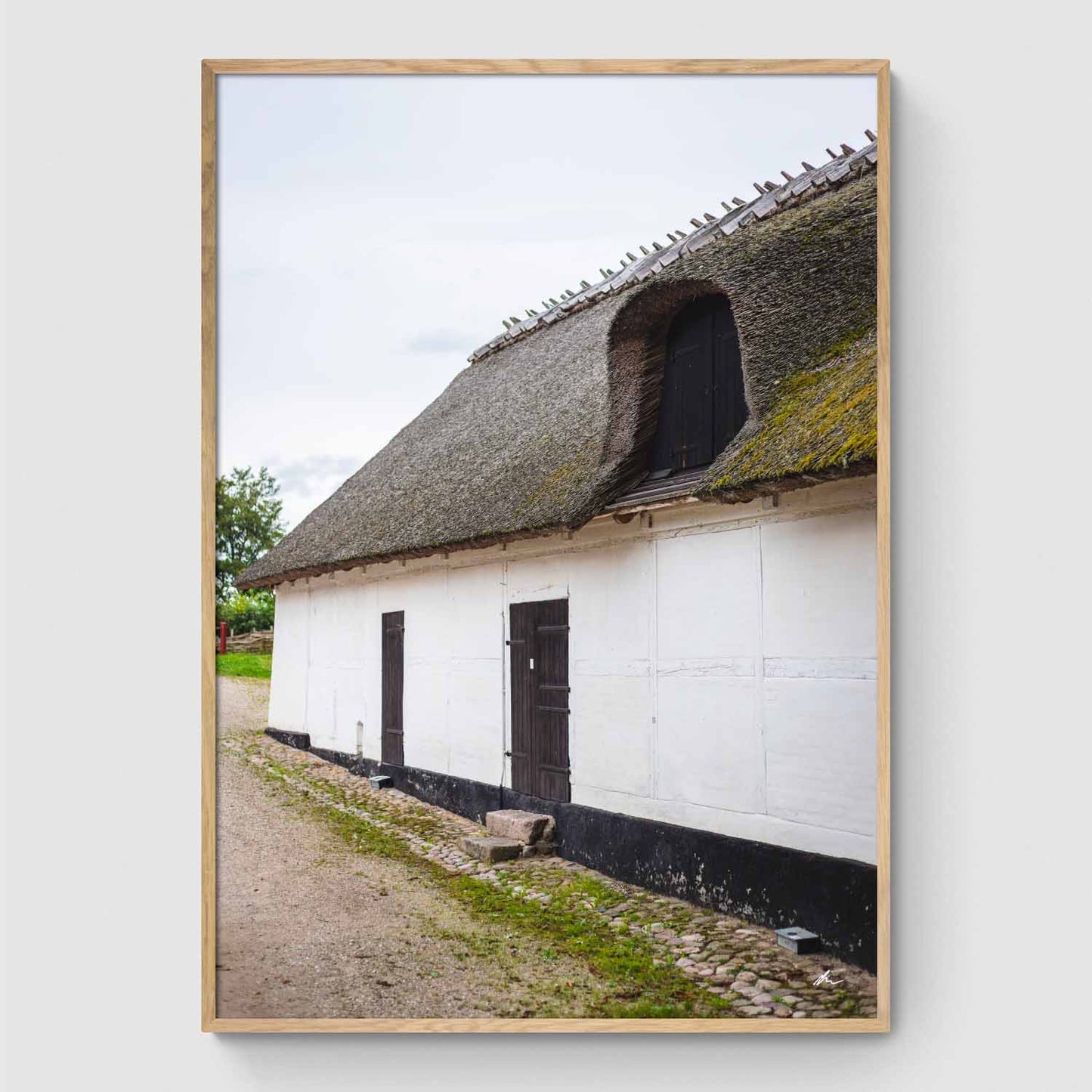Stråtag ved Tadre Mølle