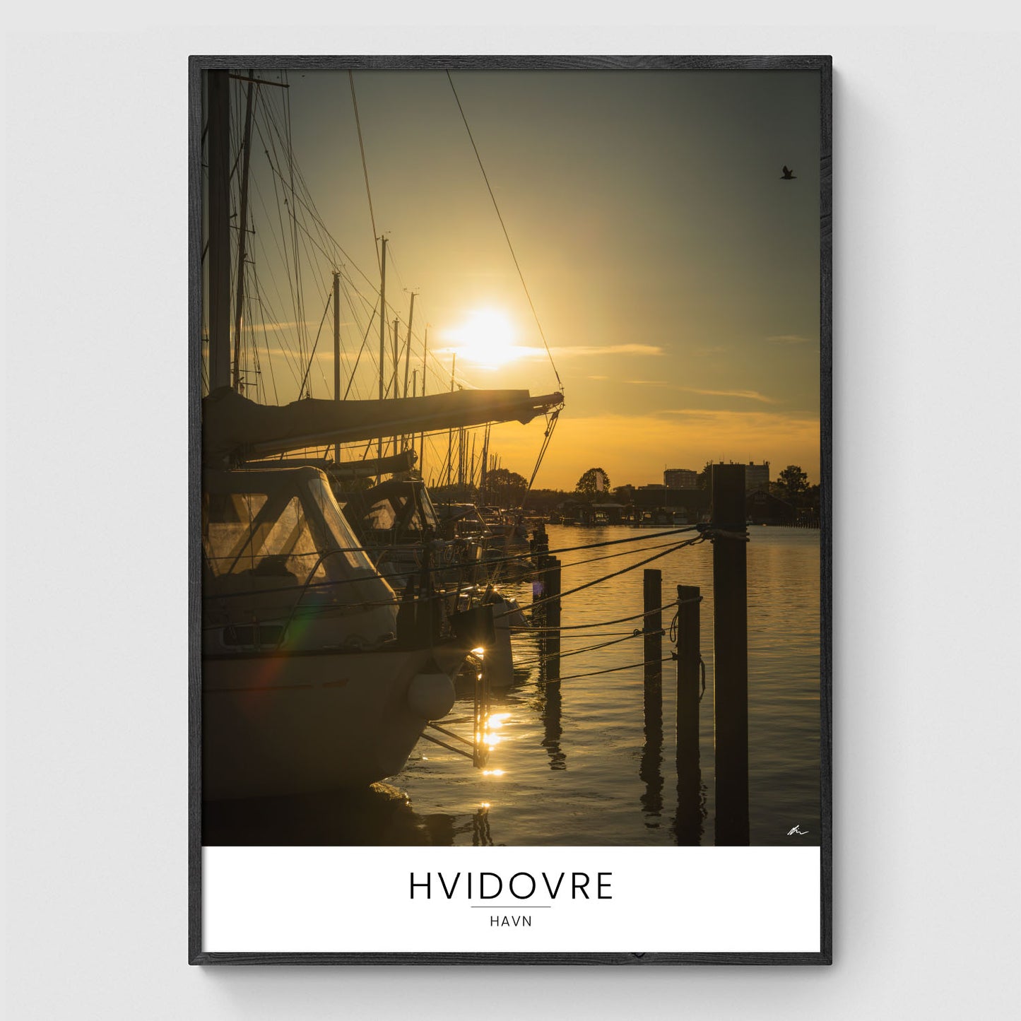 Hvidovre Havn II