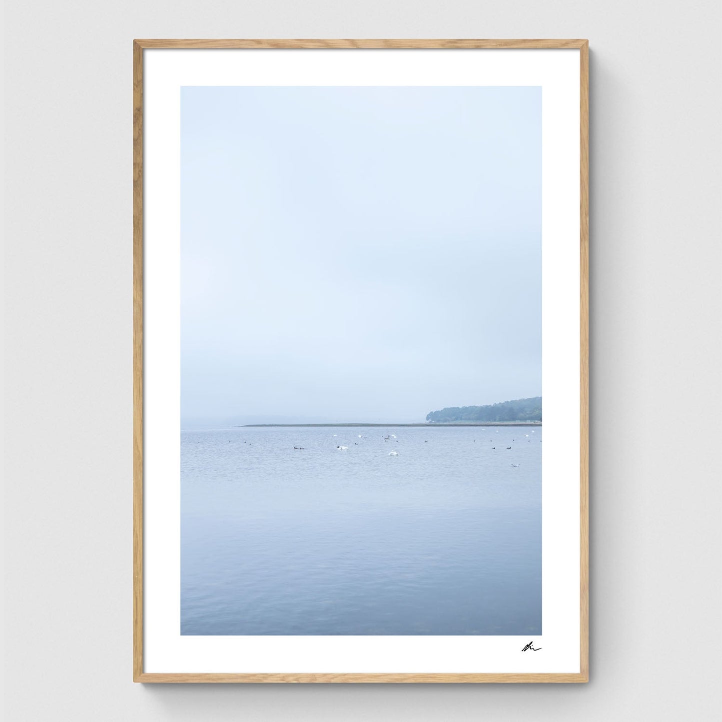 Efterår ved Roskilde Fjord I