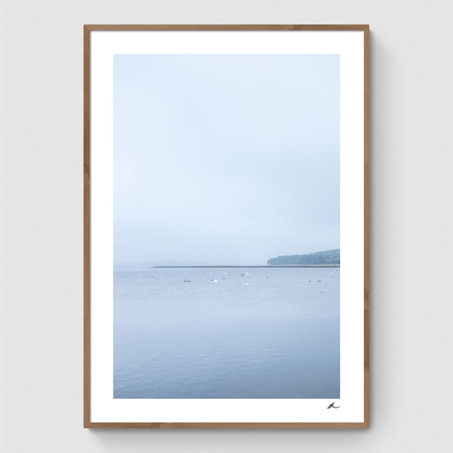 Efterår ved Roskilde Fjord I