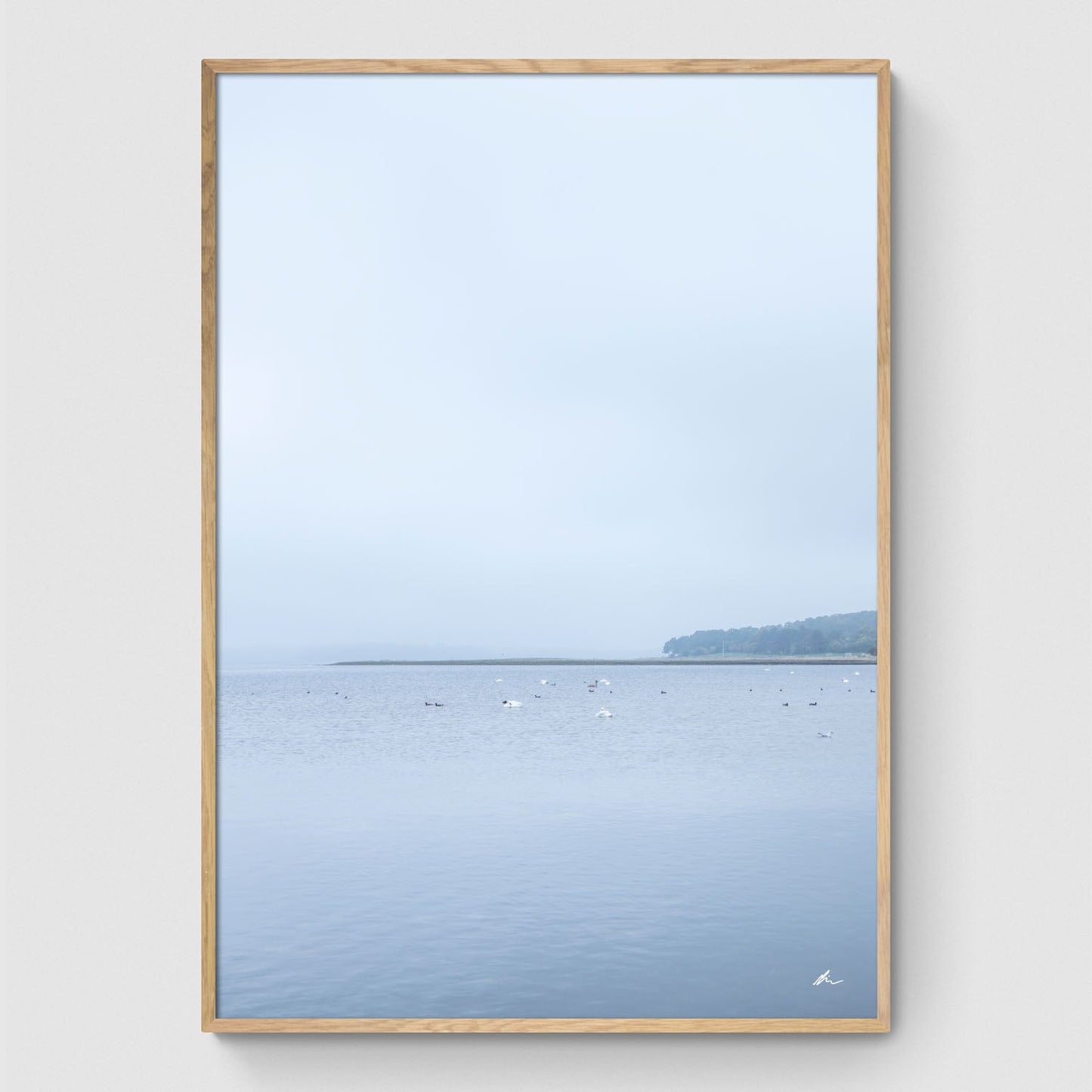Efterår ved Roskilde Fjord I