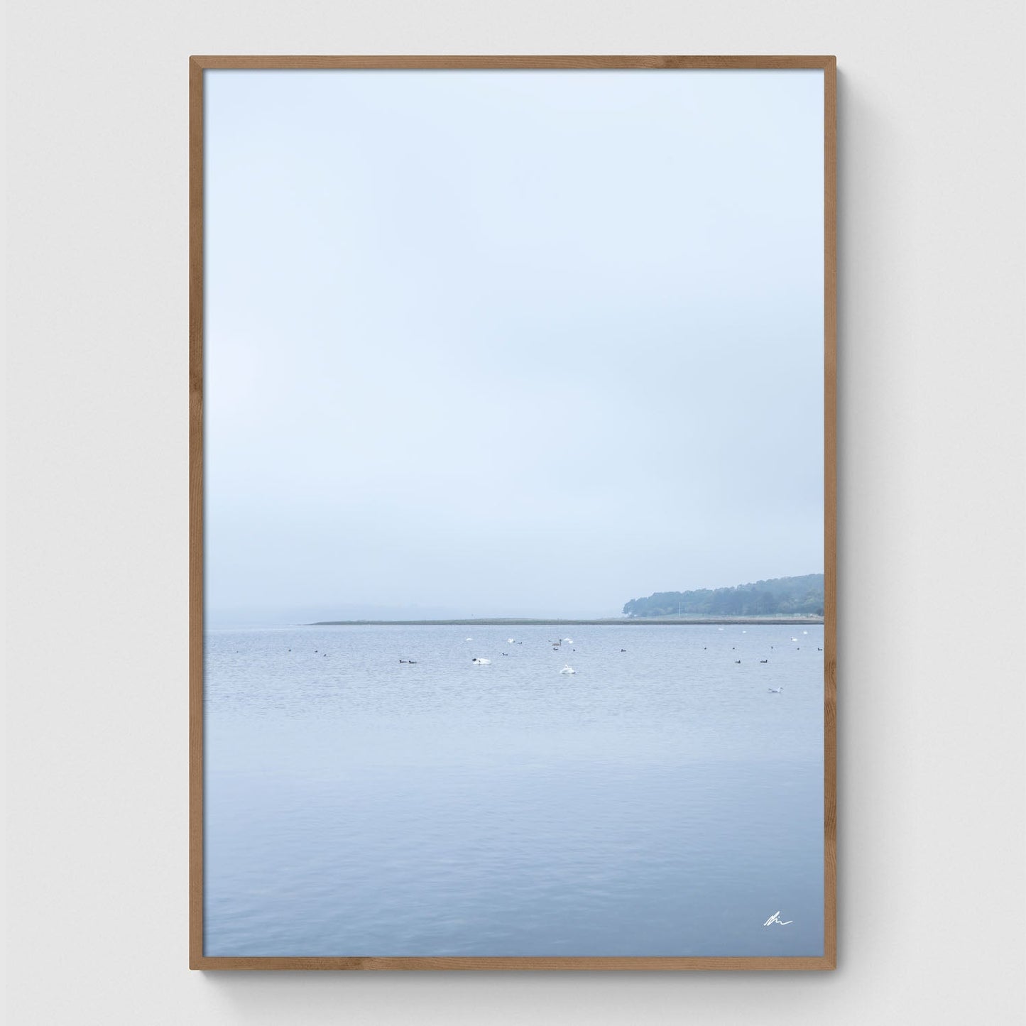 Efterår ved Roskilde Fjord I
