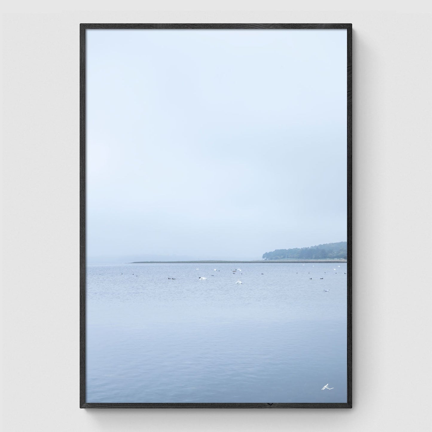 Efterår ved Roskilde Fjord I
