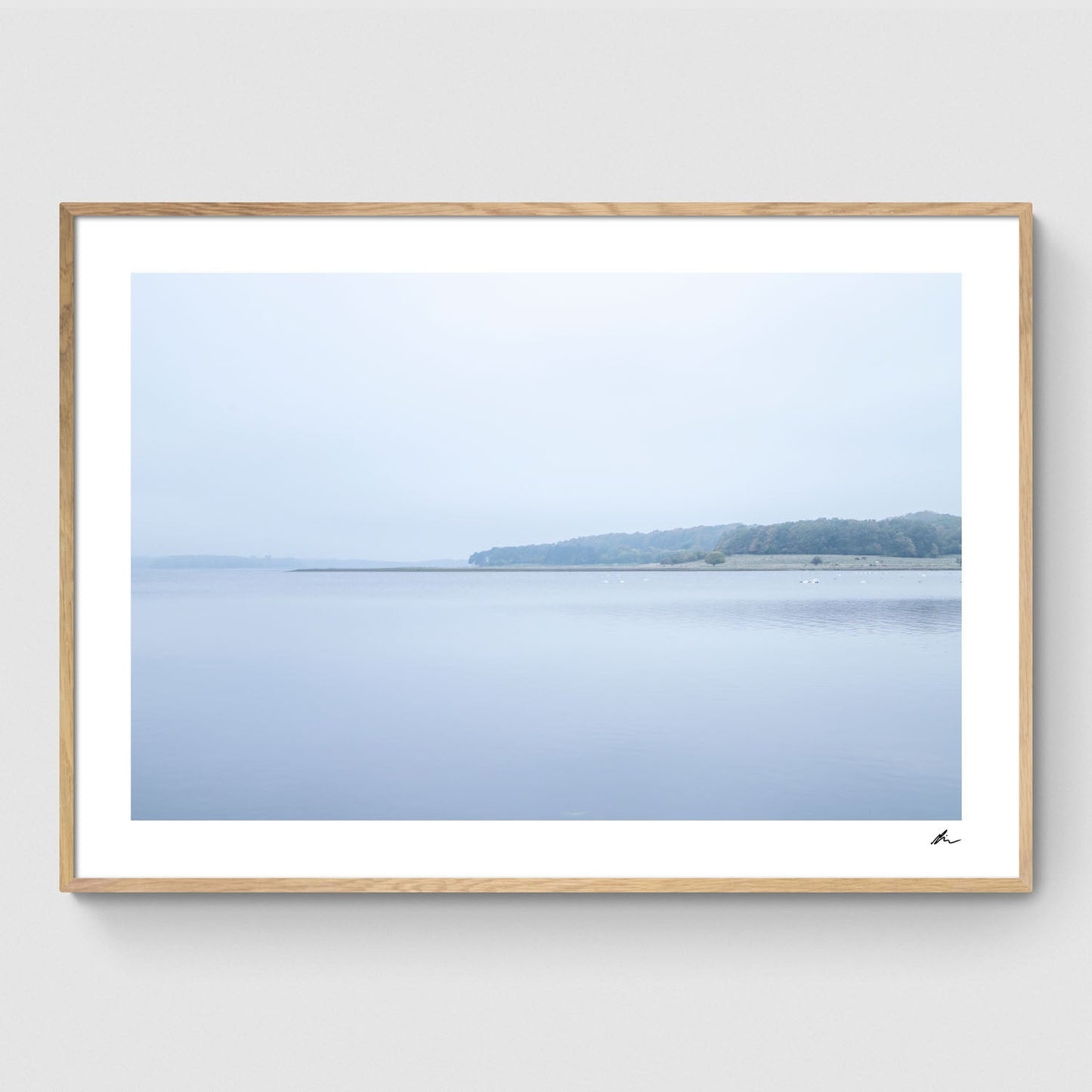 Efterår ved Roskilde Fjord II