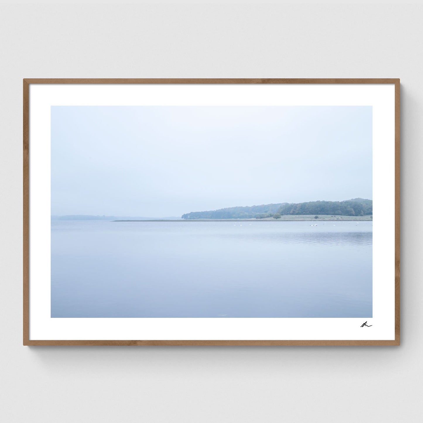 Efterår ved Roskilde Fjord II