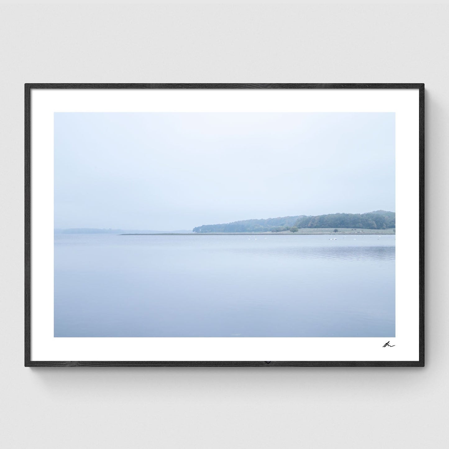 Efterår ved Roskilde Fjord II