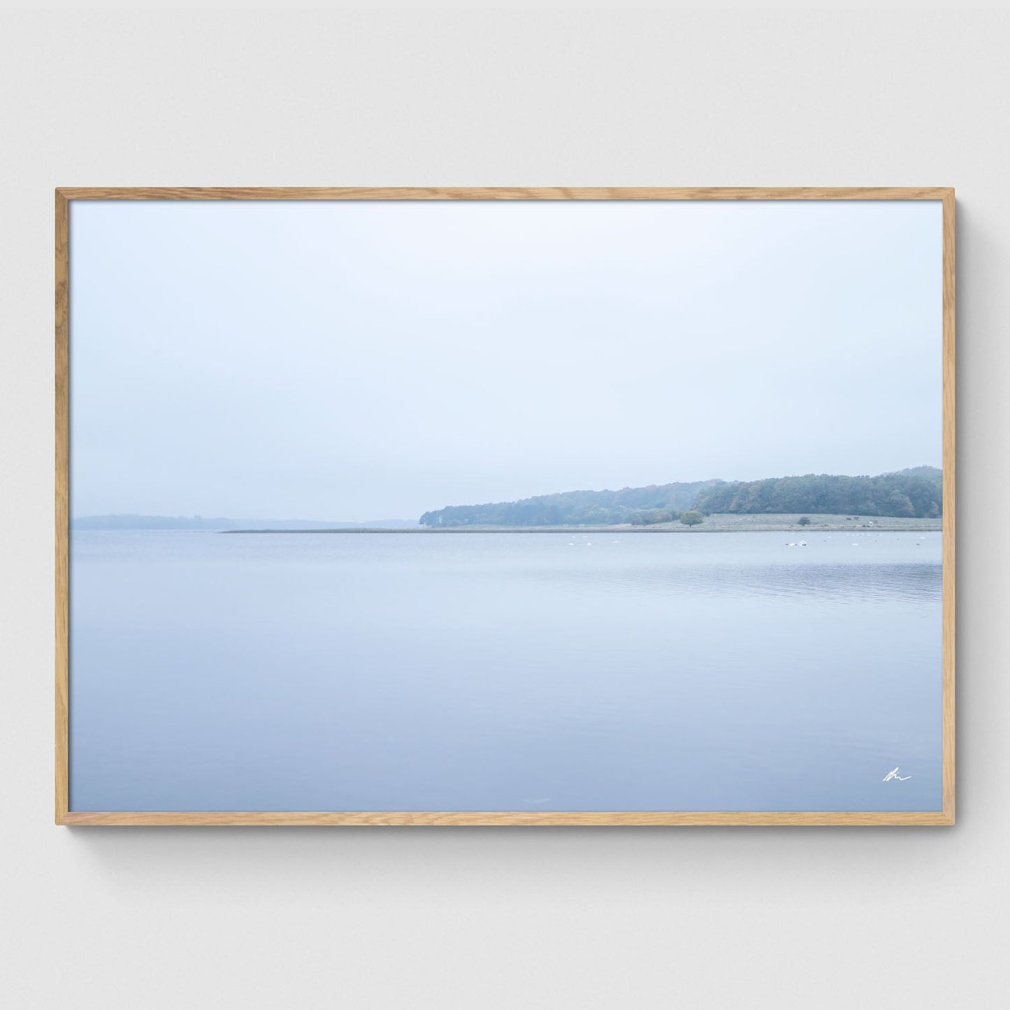 Efterår ved Roskilde Fjord II