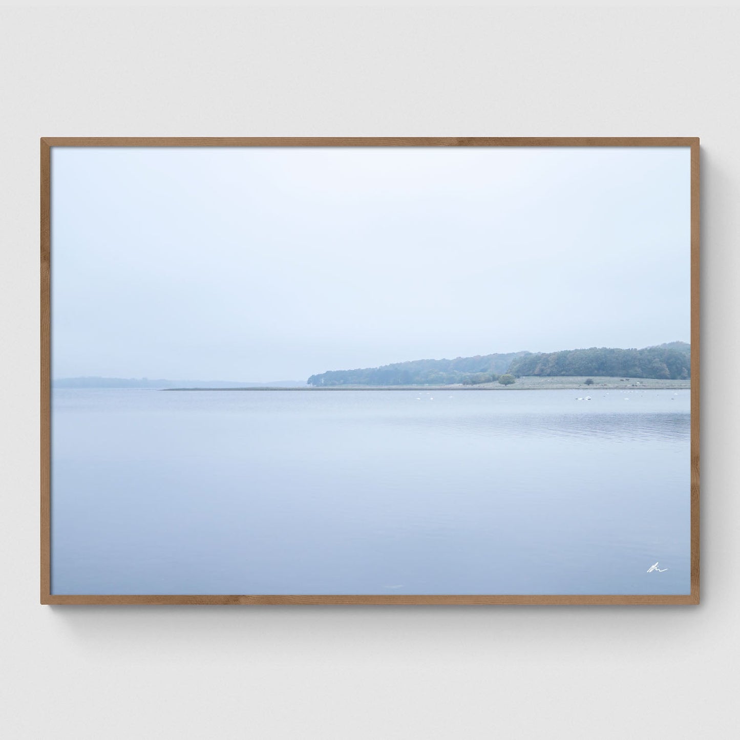 Efterår ved Roskilde Fjord II