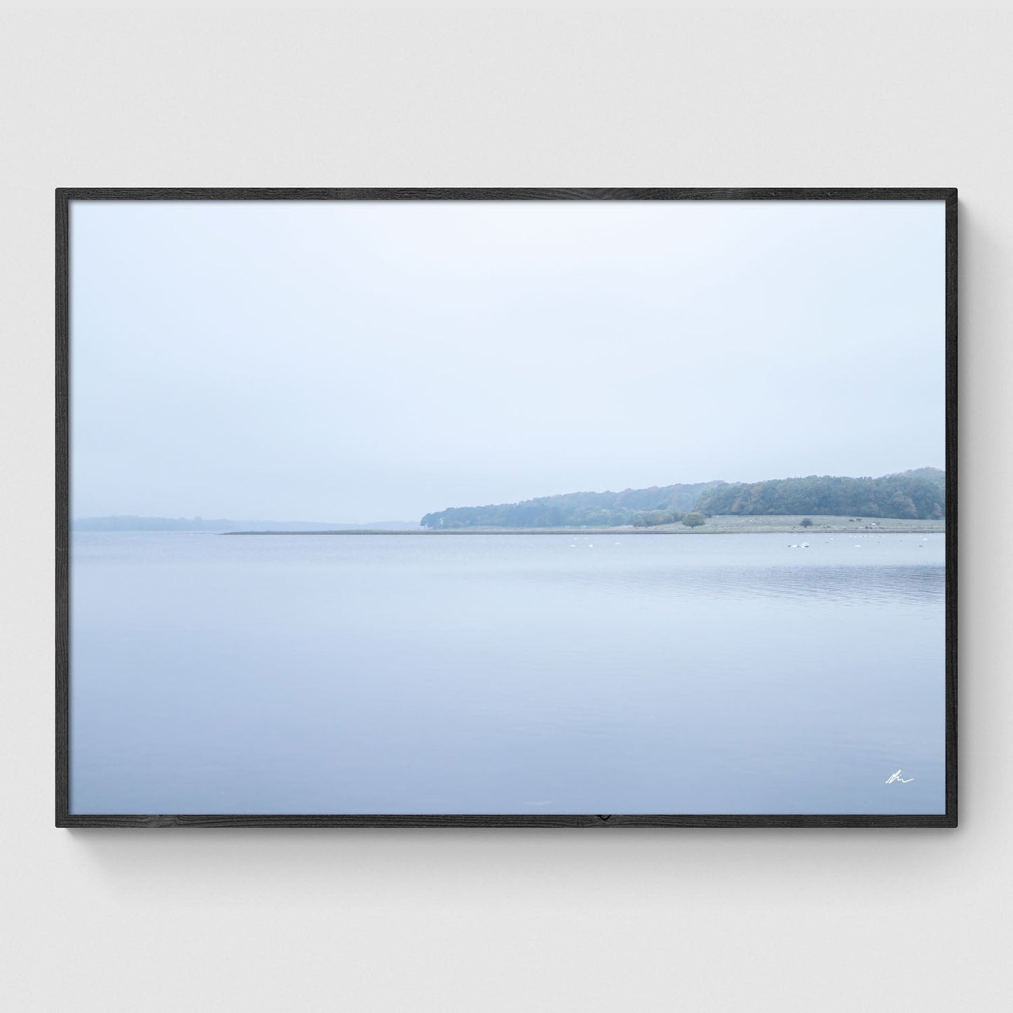 Efterår ved Roskilde Fjord II