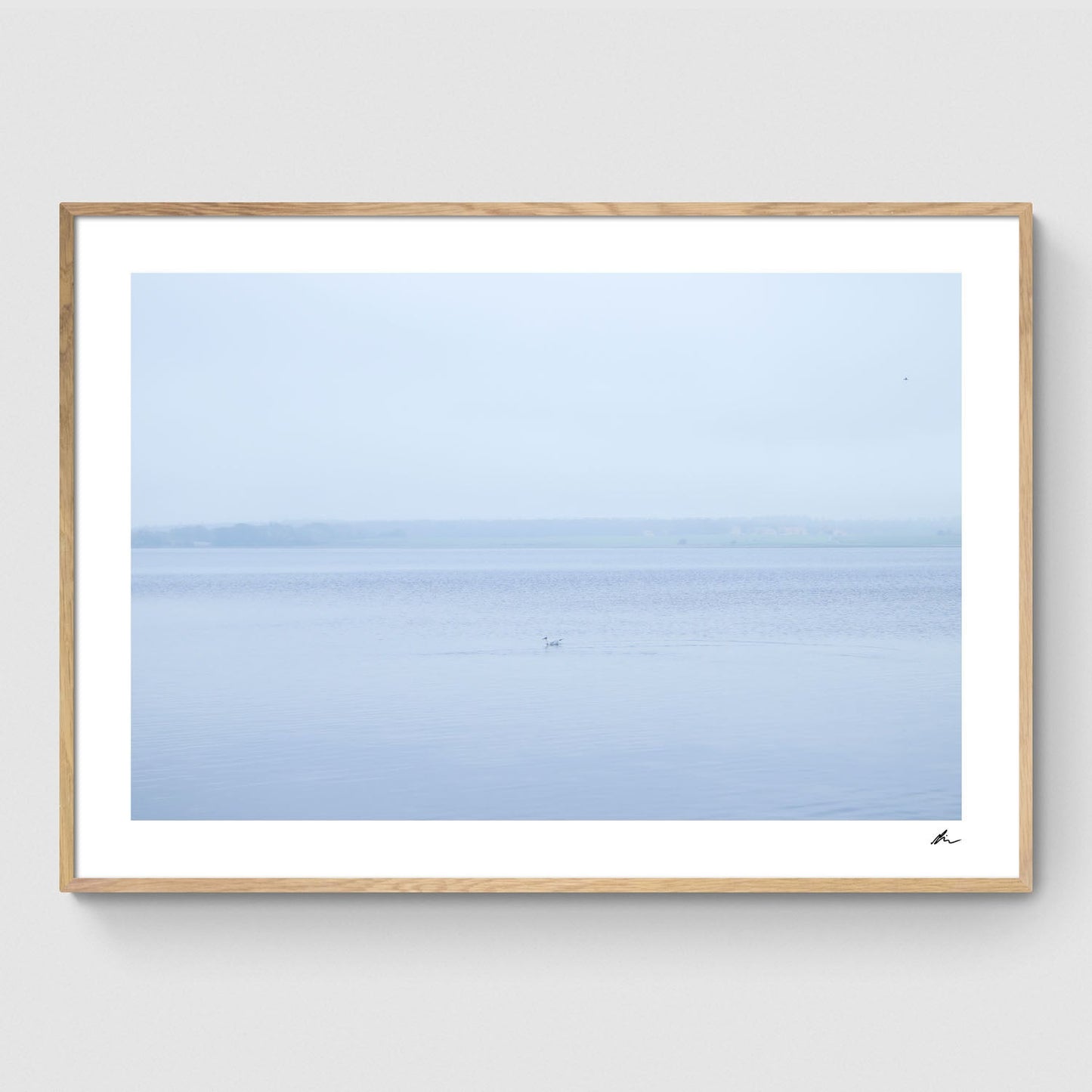 Efterår ved Roskilde Fjord III