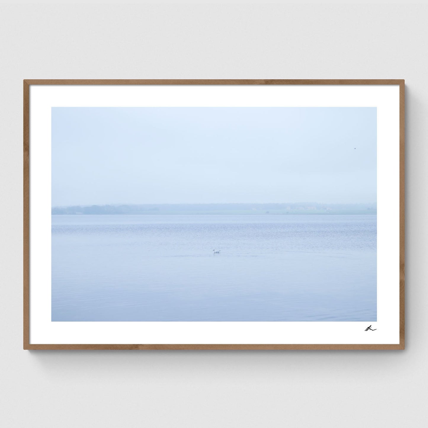Efterår ved Roskilde Fjord III