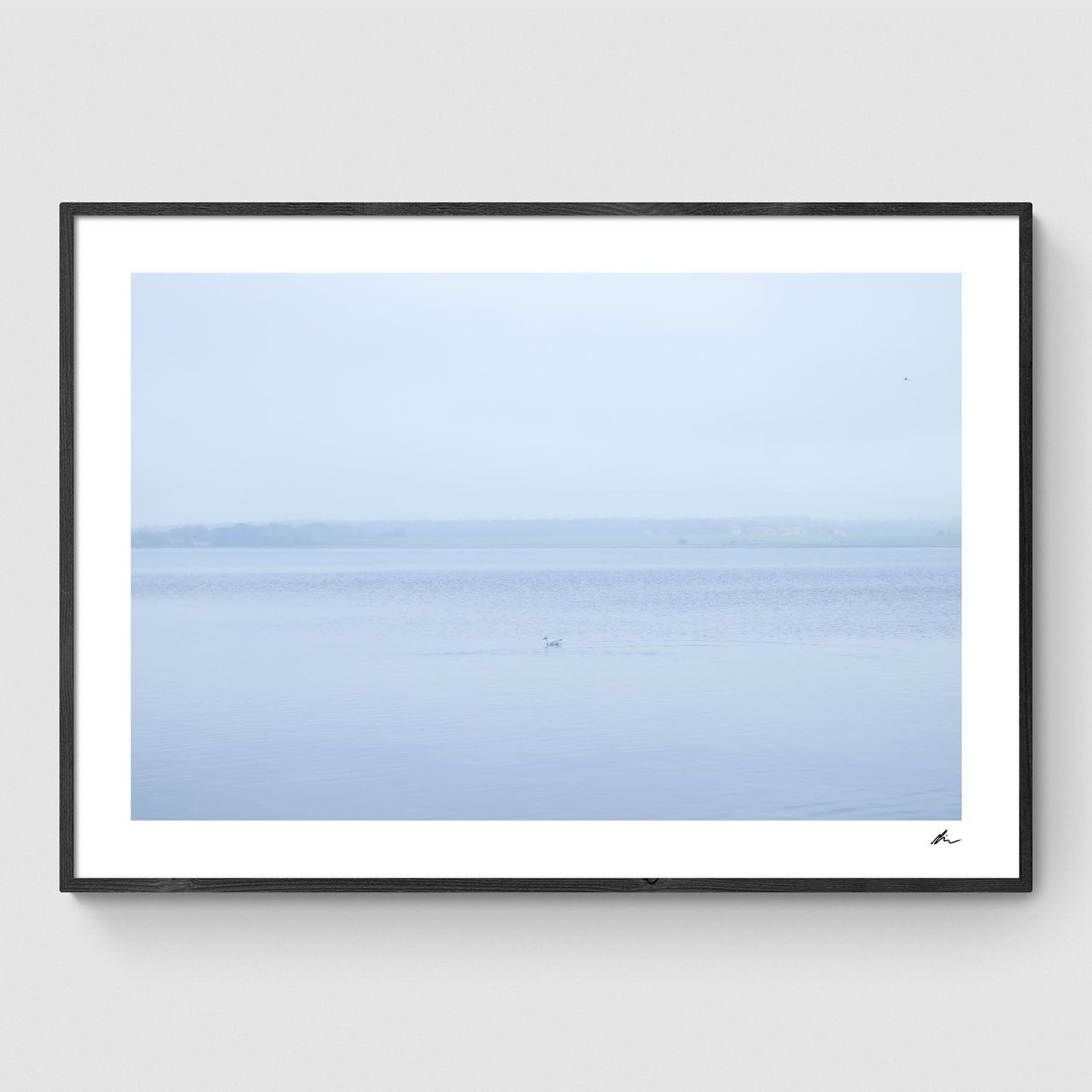 Efterår ved Roskilde Fjord III