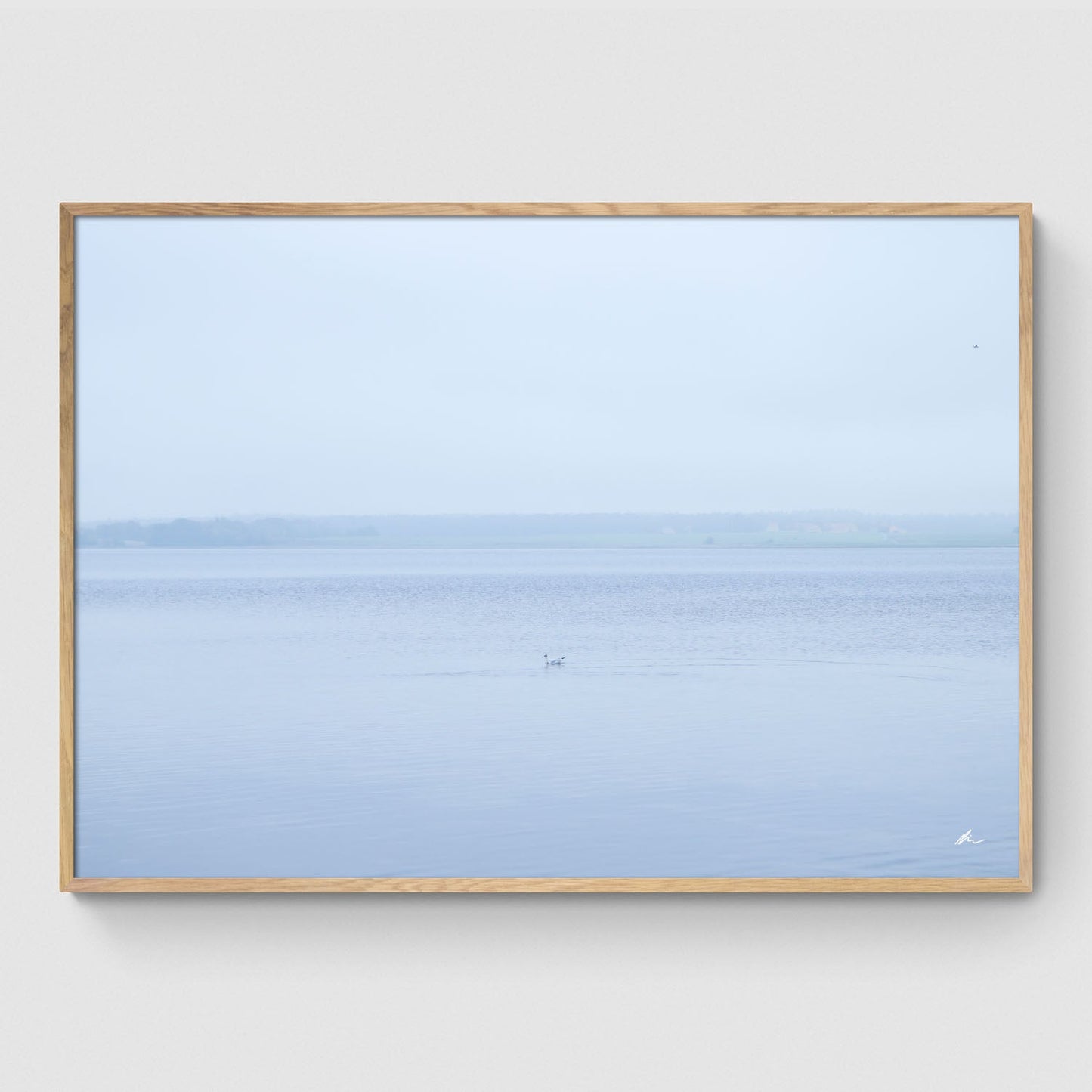 Efterår ved Roskilde Fjord III