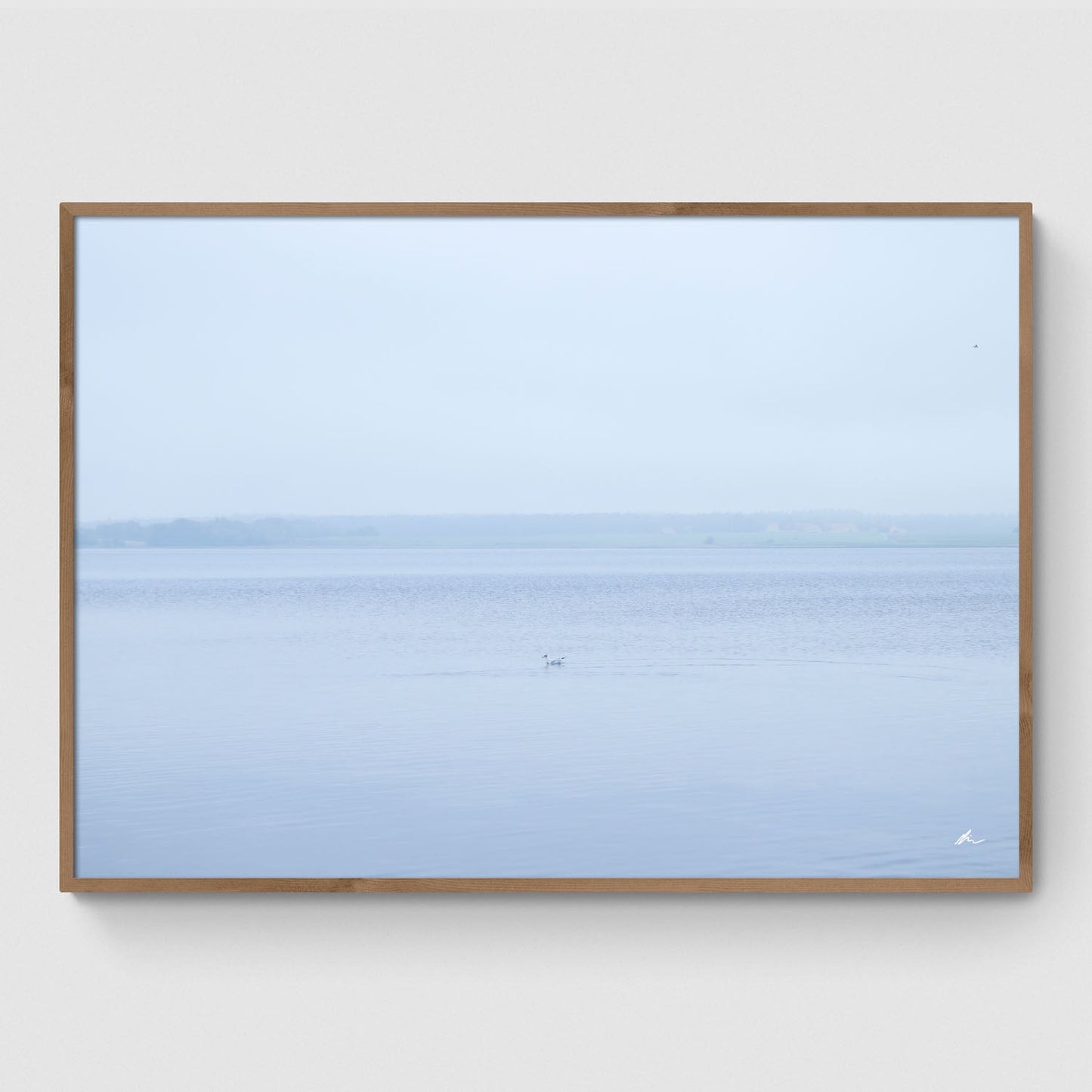 Efterår ved Roskilde Fjord III