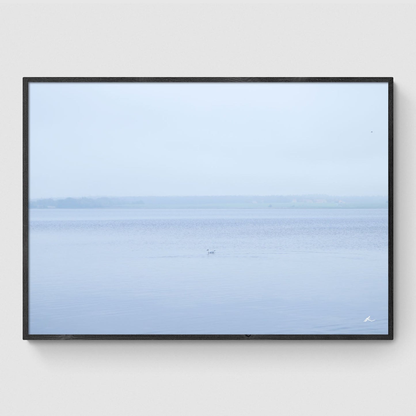 Efterår ved Roskilde Fjord III