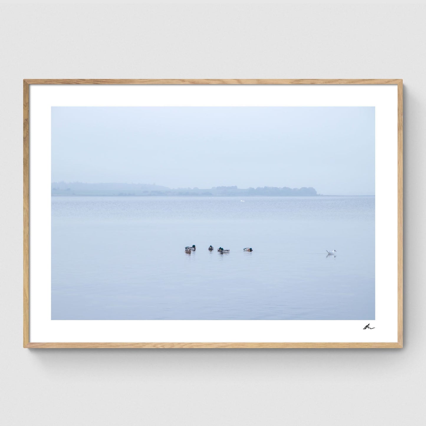 Gå egne veje ved Fjorden