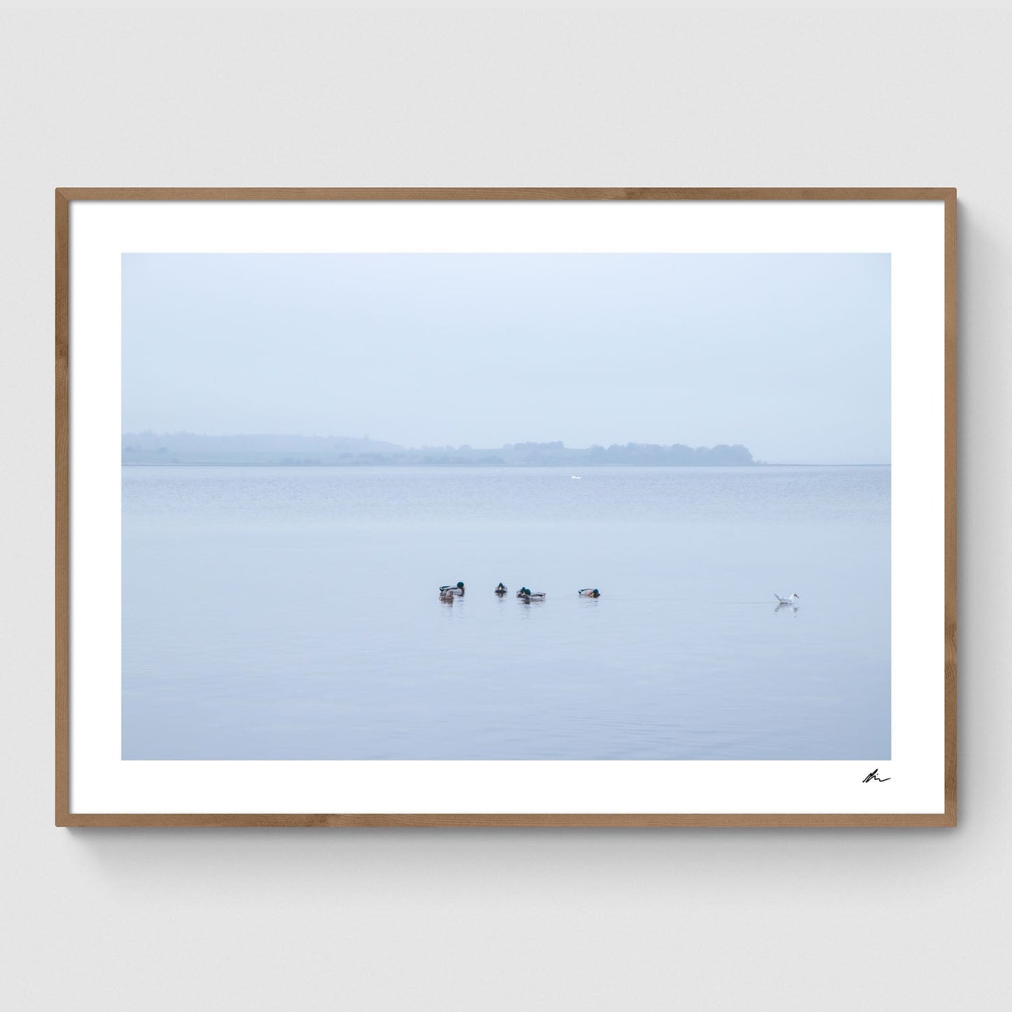 Gå egne veje ved Fjorden