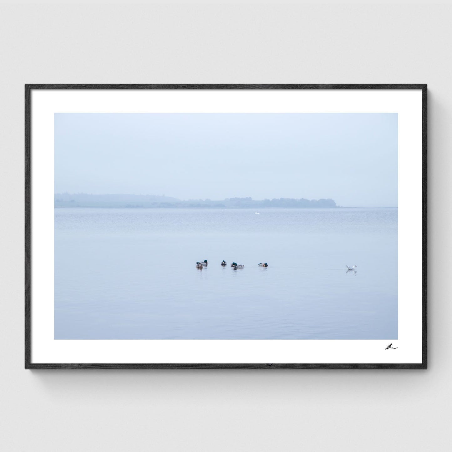 Gå egne veje ved Fjorden