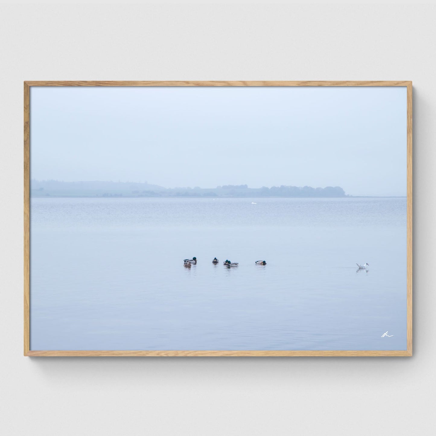 Gå egne veje ved Fjorden