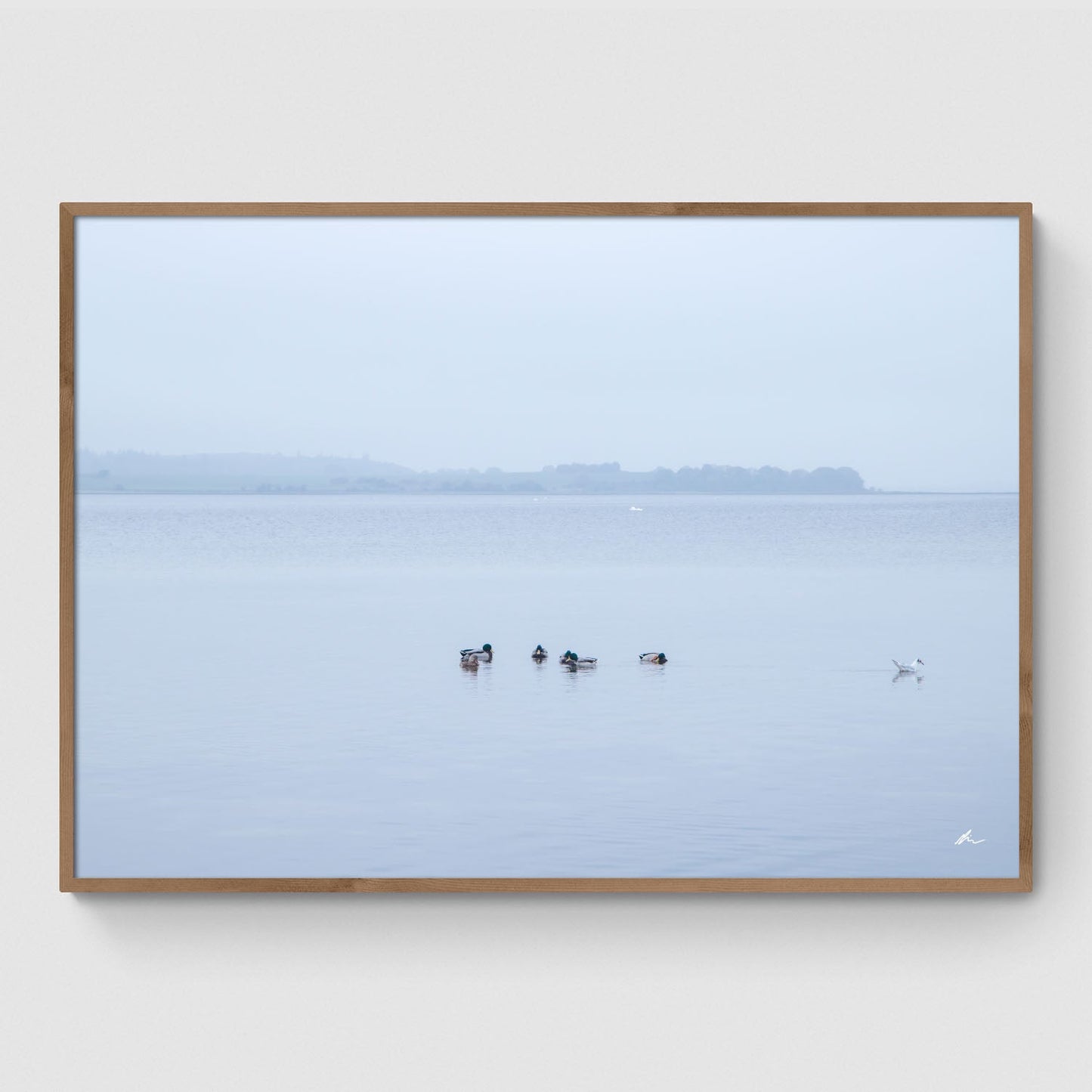 Gå egne veje ved Fjorden