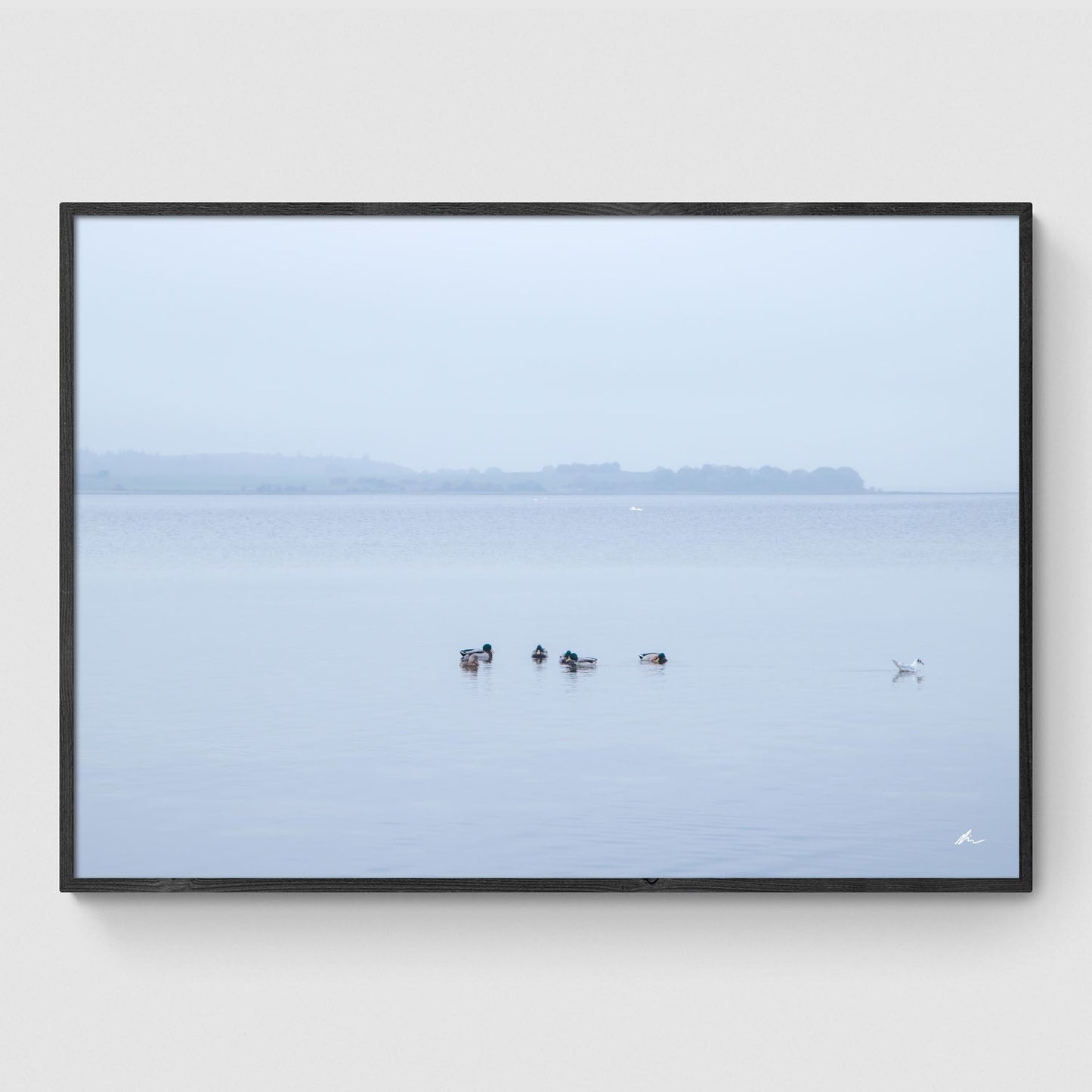 Gå egne veje ved Fjorden