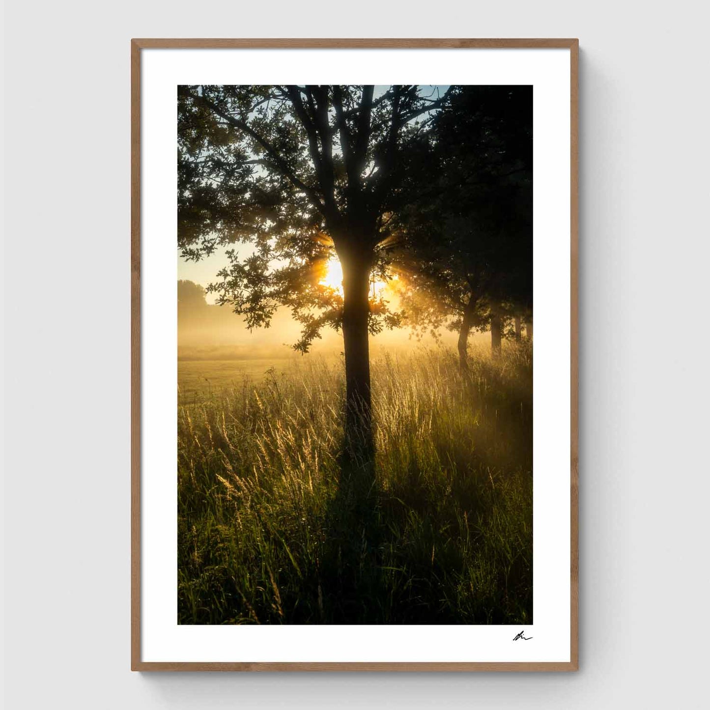Morgensol II