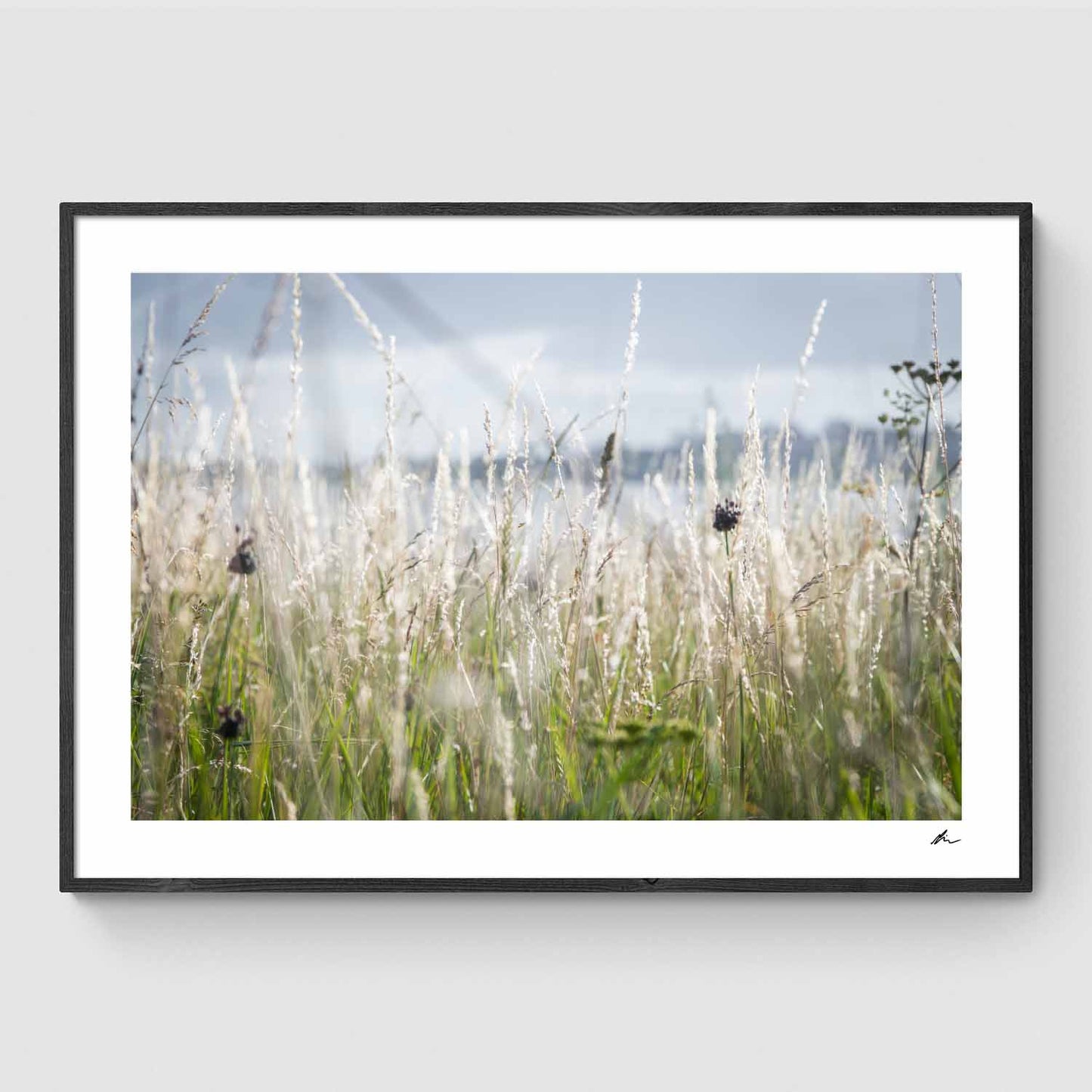 Siv og græs ved Toftebakken I