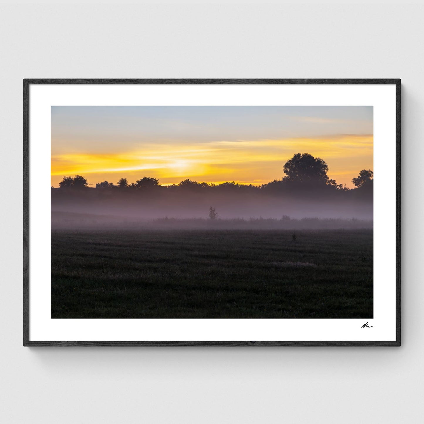 Træ i morgendis