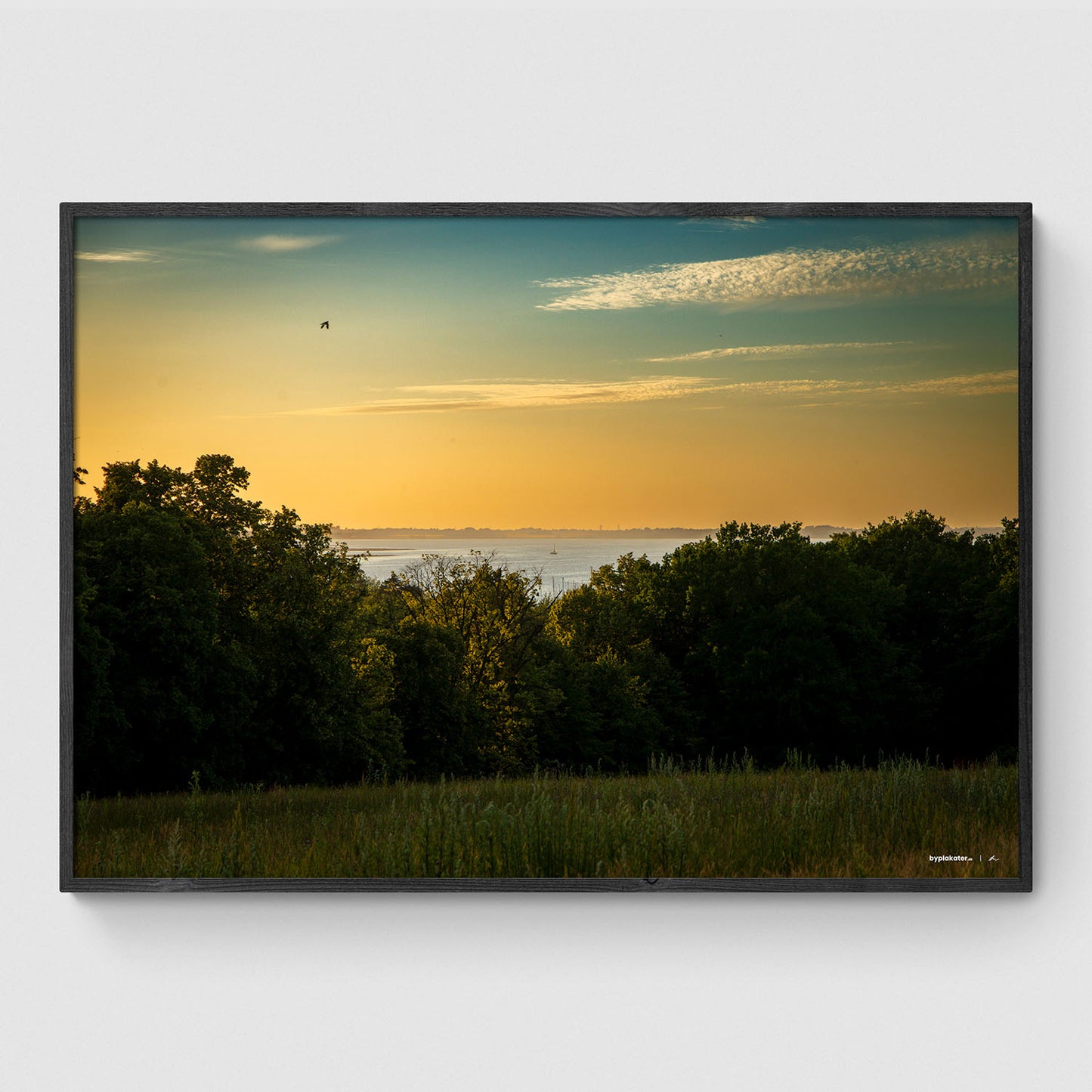 Roskilde Fjord i horisonten