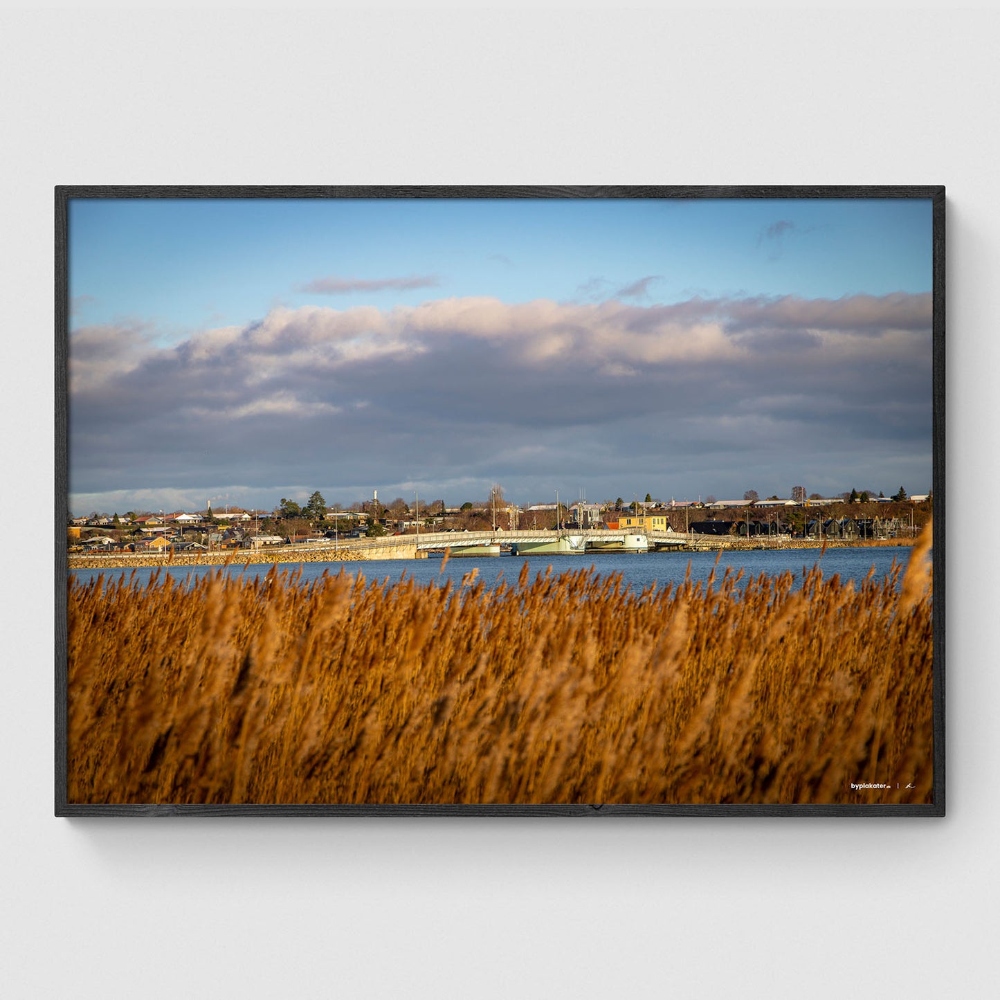 Kronprins Frederiks Bro I