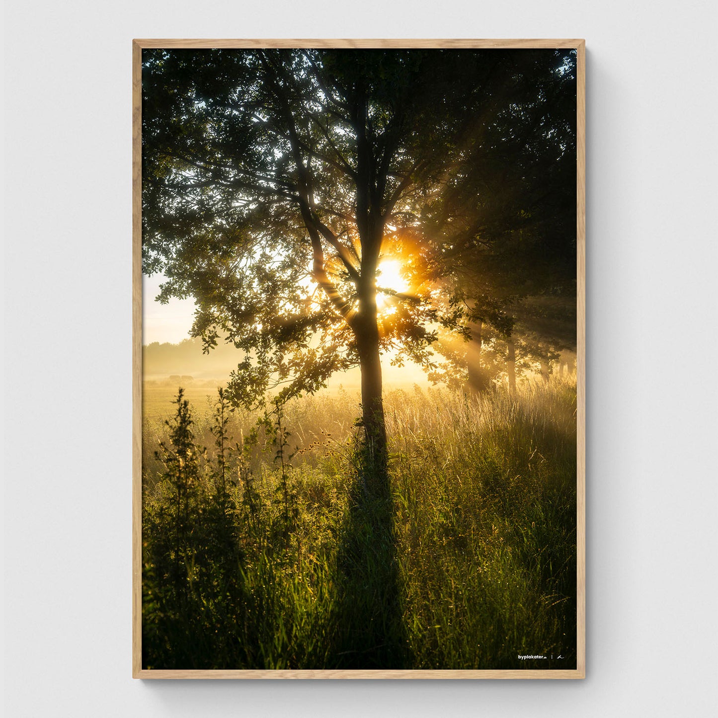 Plakatsæt: Solopgang