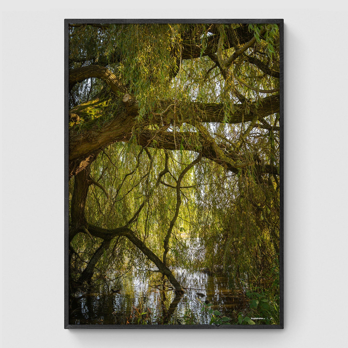 Træ i søen i anlægget