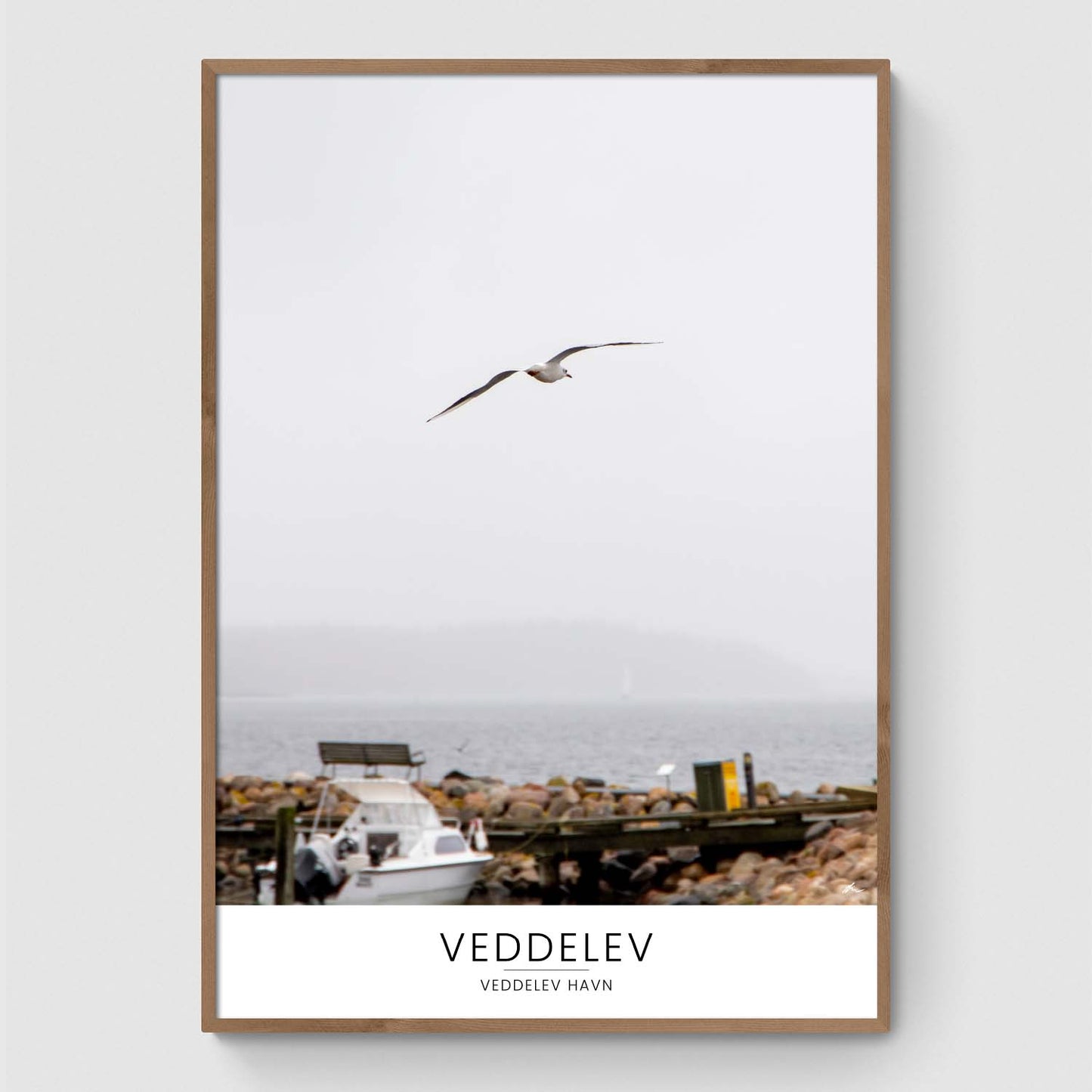 Måge over Veddelev Havn