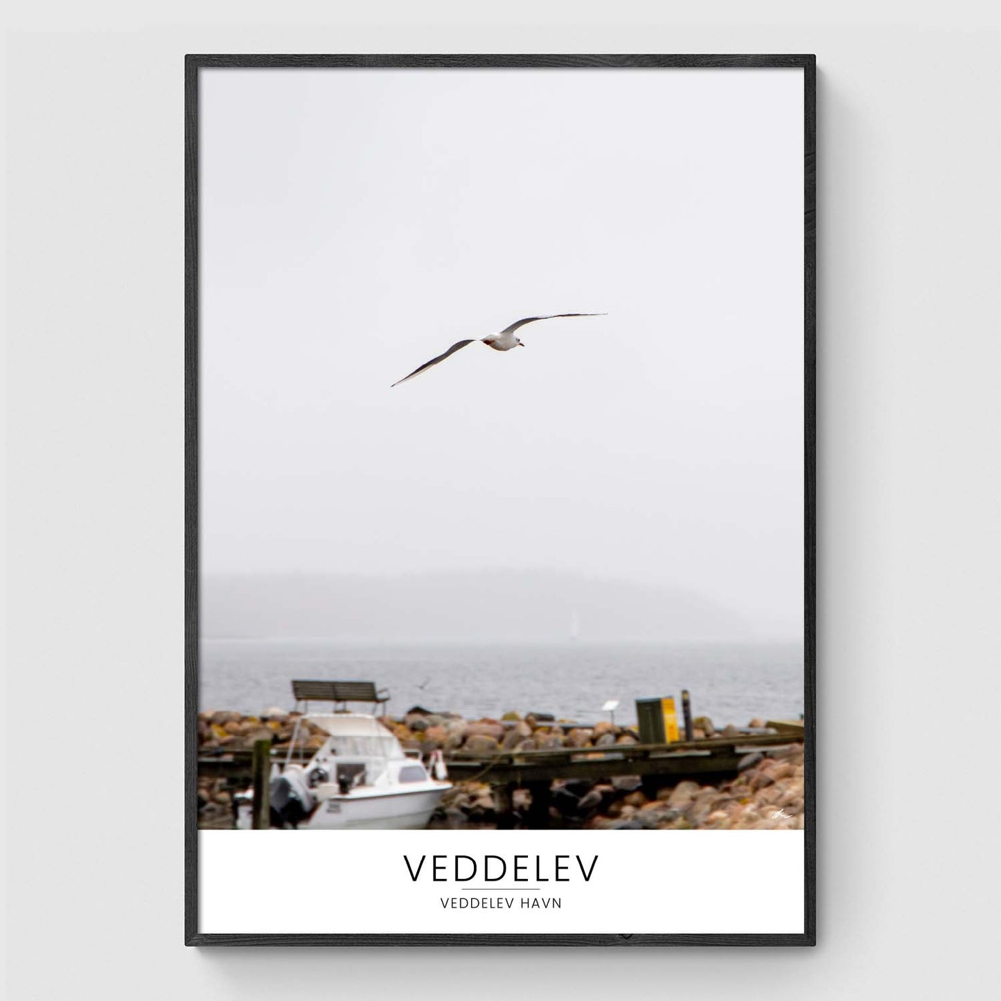 Måge over Veddelev Havn