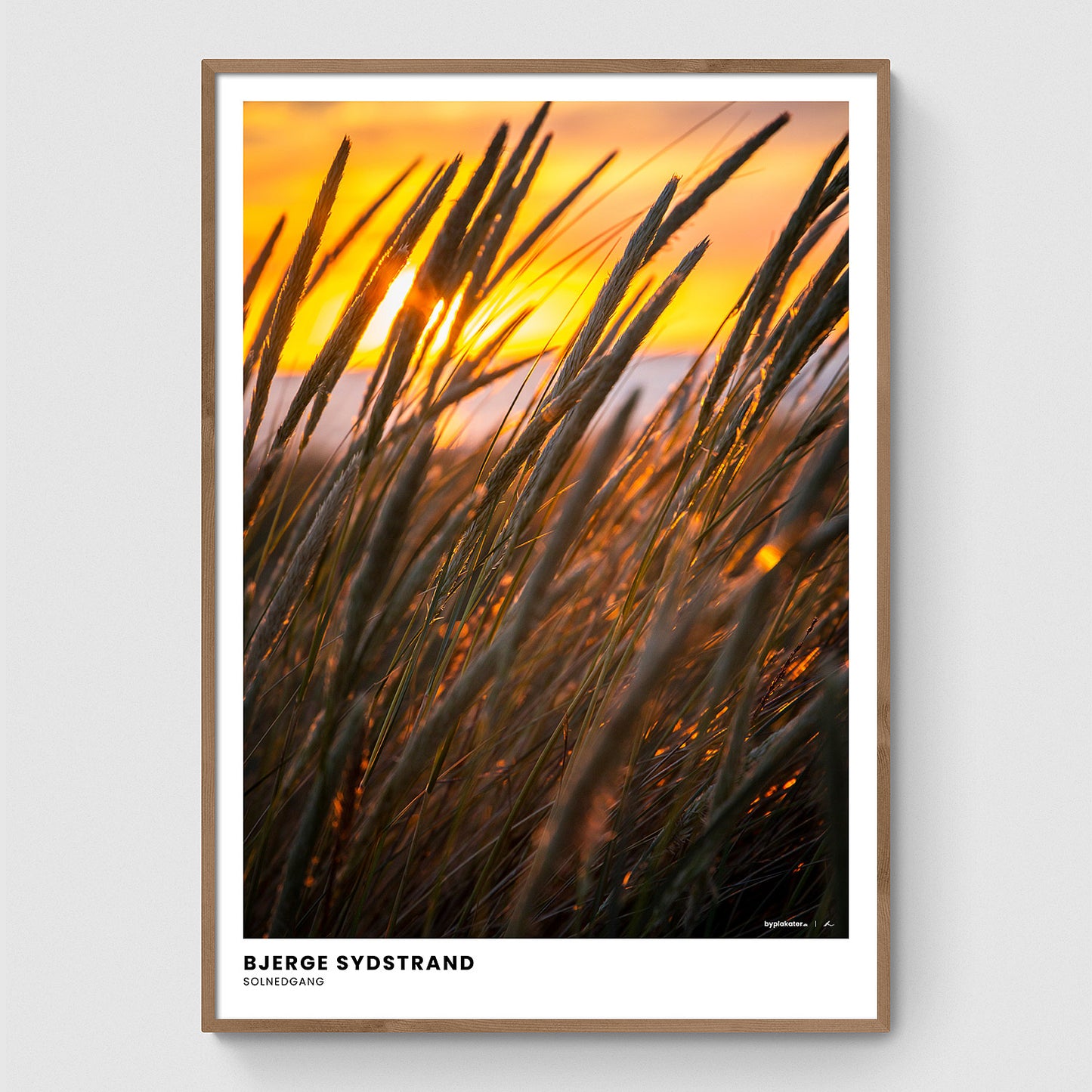 Siv ved solnedgang I