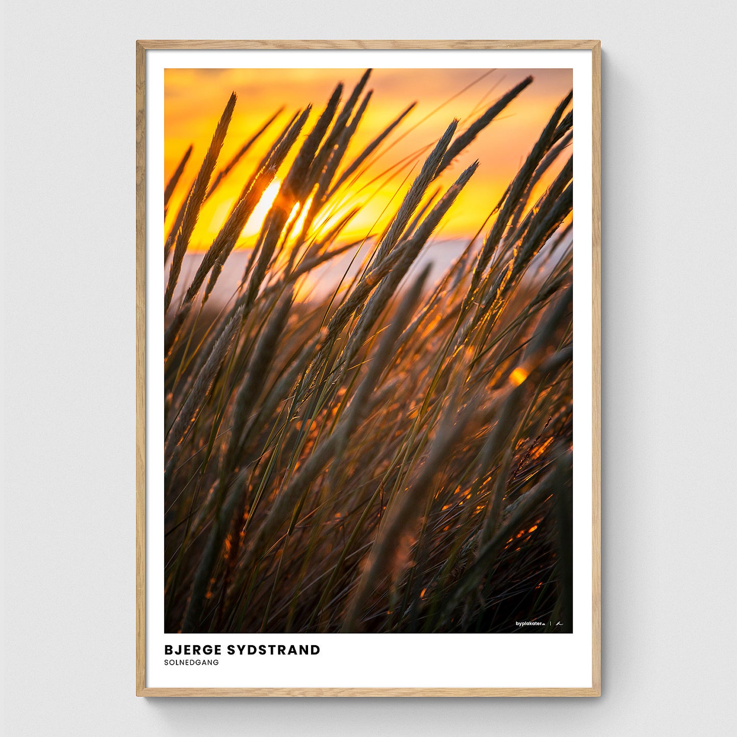 Siv ved solnedgang I