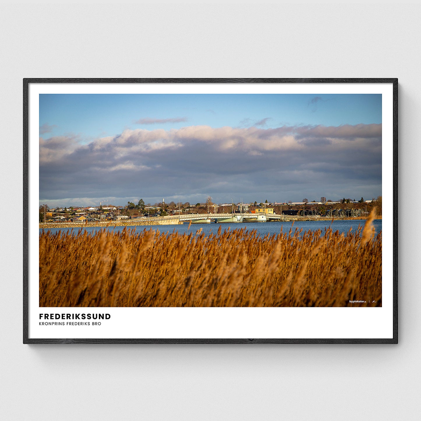 Kronprins Frederiks Bro I