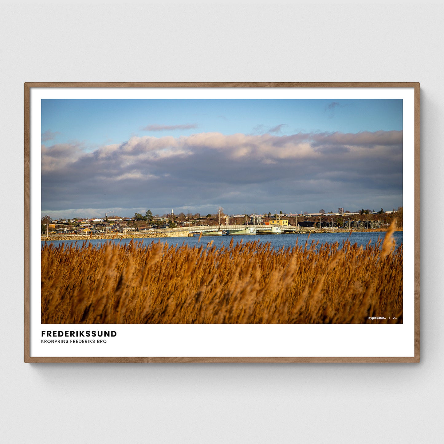 Kronprins Frederiks Bro I