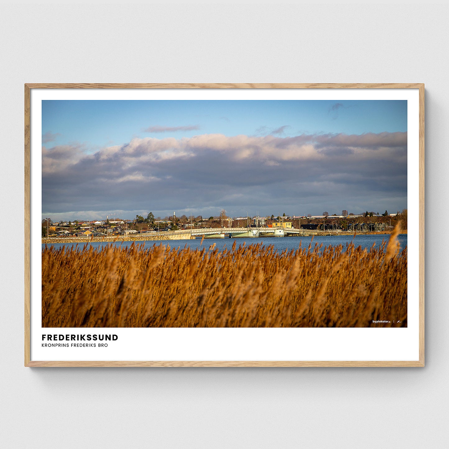 Kronprins Frederiks Bro I