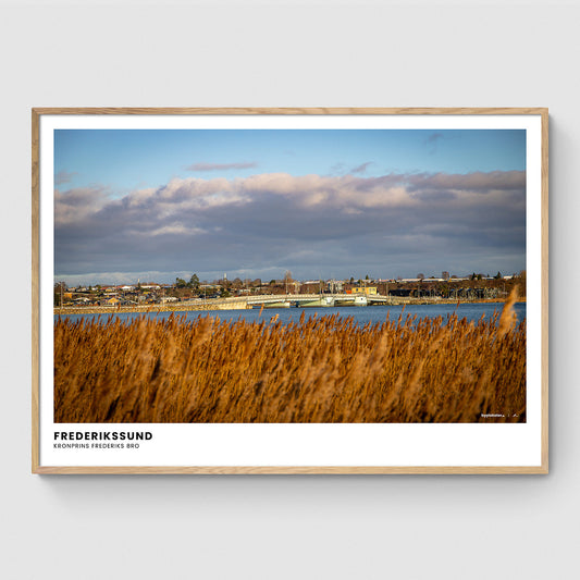 Kronprins Frederiks Bro I