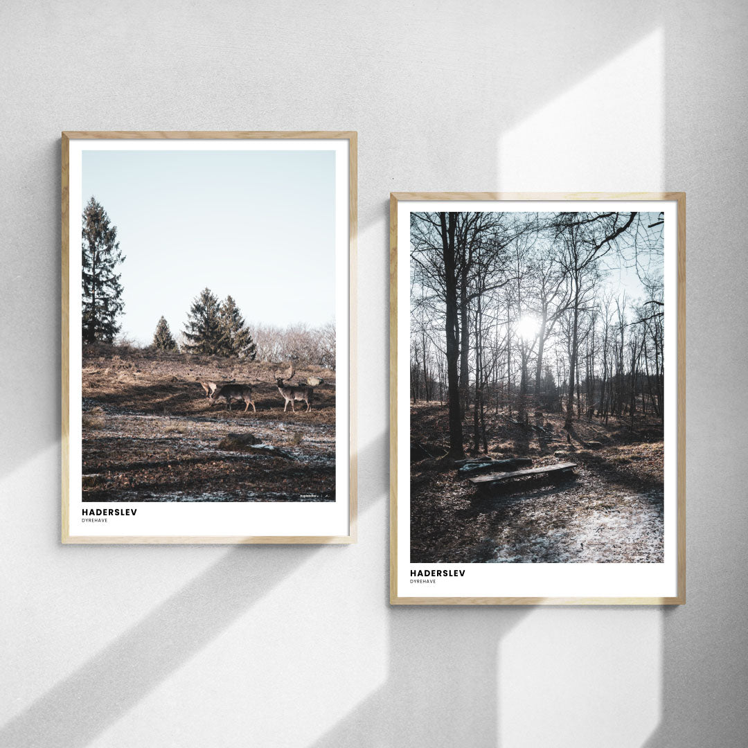 Plakatsæt: Vinterro