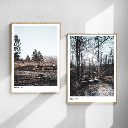 Plakatsæt: Vinterro