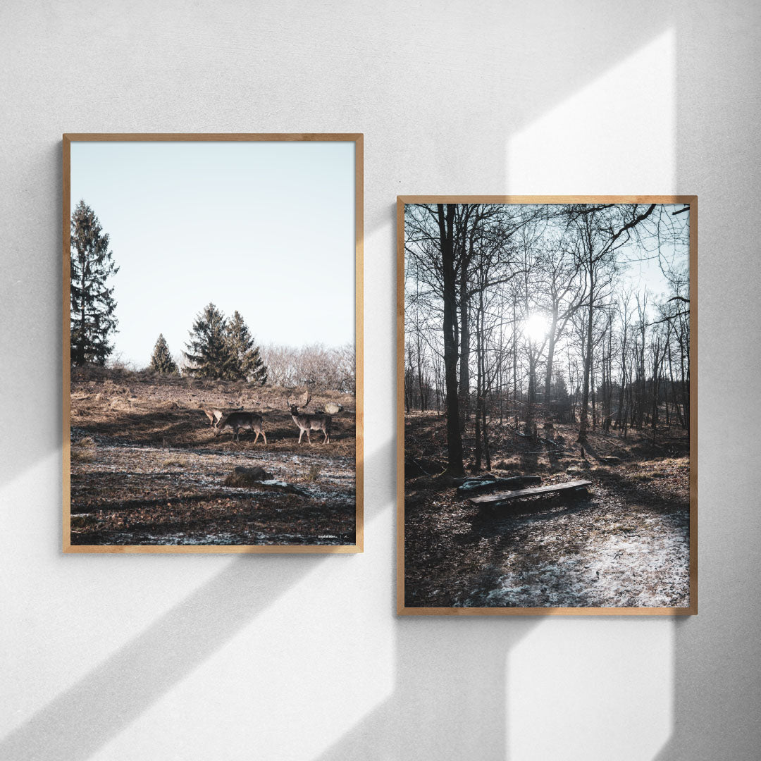 Plakatsæt: Vinterro